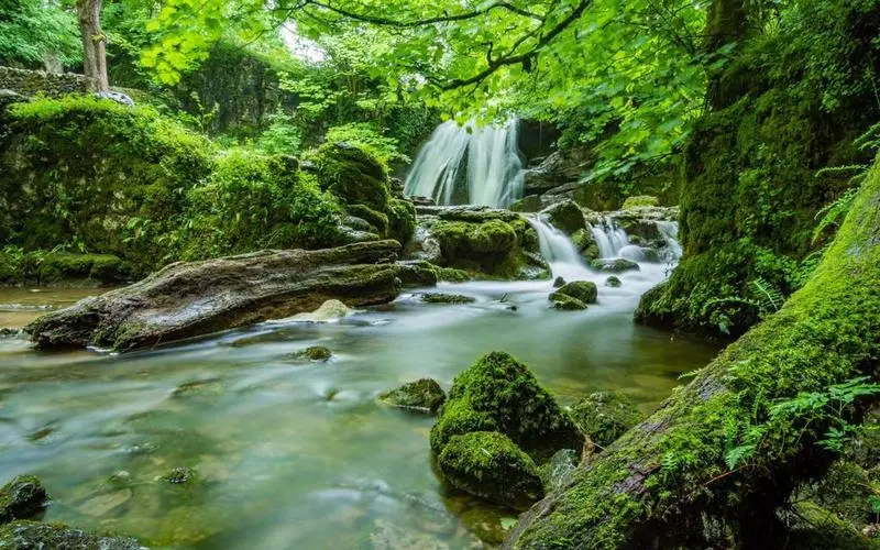 高端智能制造
